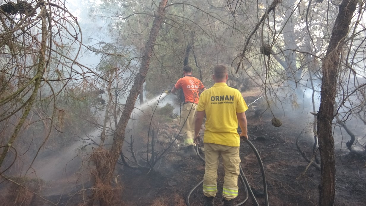Çanakkale’de park halindeki midibüste çıkan yangın ormana sıçradı