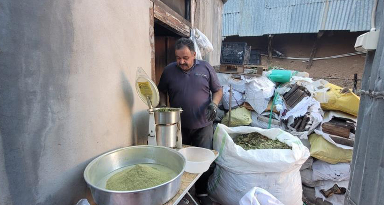 120 çeşit bitkinin karışımıyla elde edilen baharat; Zetrin