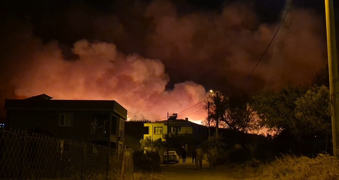 Şarköy’de orman yangınında küle dönen alanın öncesi ve sonrası yürek burktu