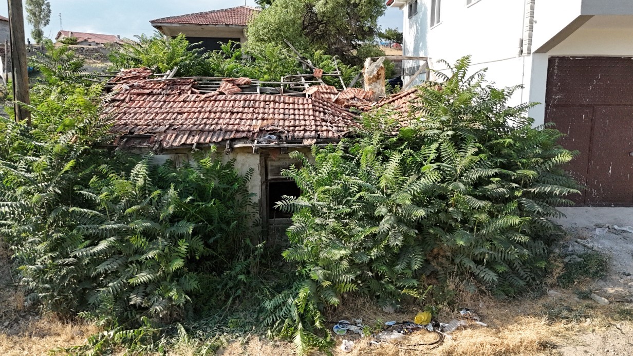 Bir şehir bunu konuşuyor: Keloğlan’ın memleketi neresi?