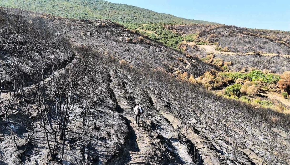 Bilecik’te orman yangını sonrası yürek burkan manzara havadan görüntülendi