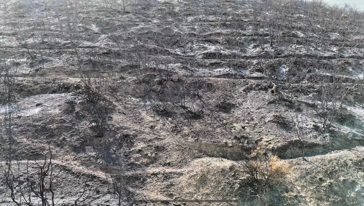 Bilecik’te orman yangını sonrası yürek burkan manzara havadan görüntülendi