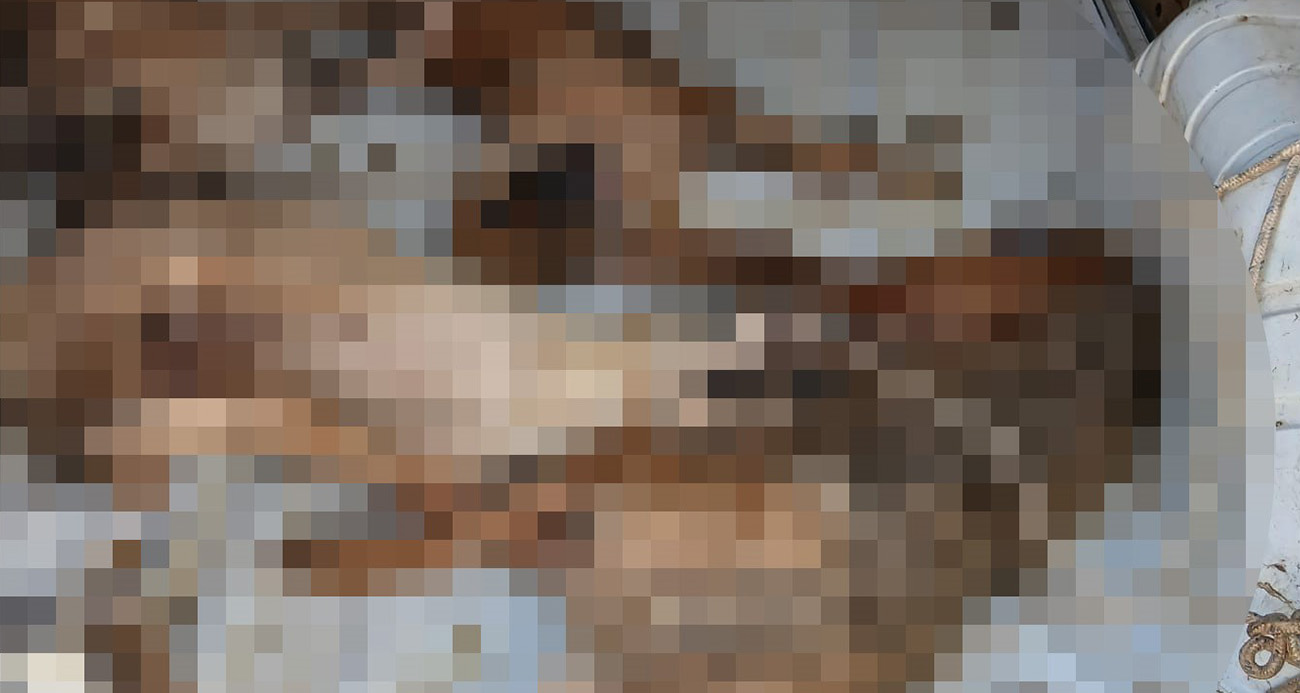 Nakil aracı değil, ölüm kafesi