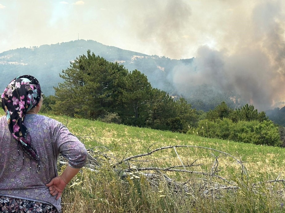 Uşak’ta ormanlık alanda yangın: Müdahale sürüyor