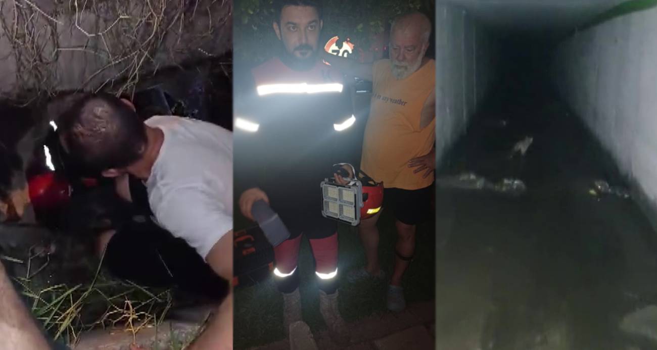 Kanalizasyona düşüp 2 gündür kurtarılmayı bekleyen yavru kedi için seferber oldular