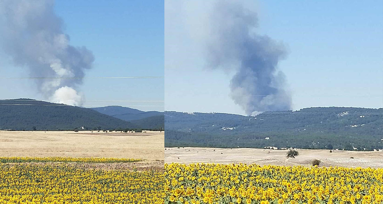 Eskişehir’de orman yangını başladı