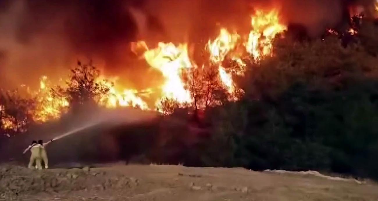 Orman yangınında nefes kesen görüntüler: Alevlerin içindeki direniş böyle görüntülendi