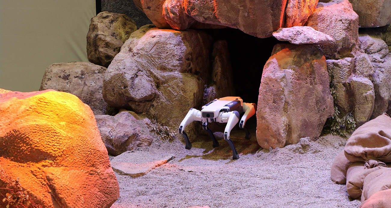 IDEF’te sergilenen zıplayan, takla atan ve selam veren robot köpekler ilgi görüyor