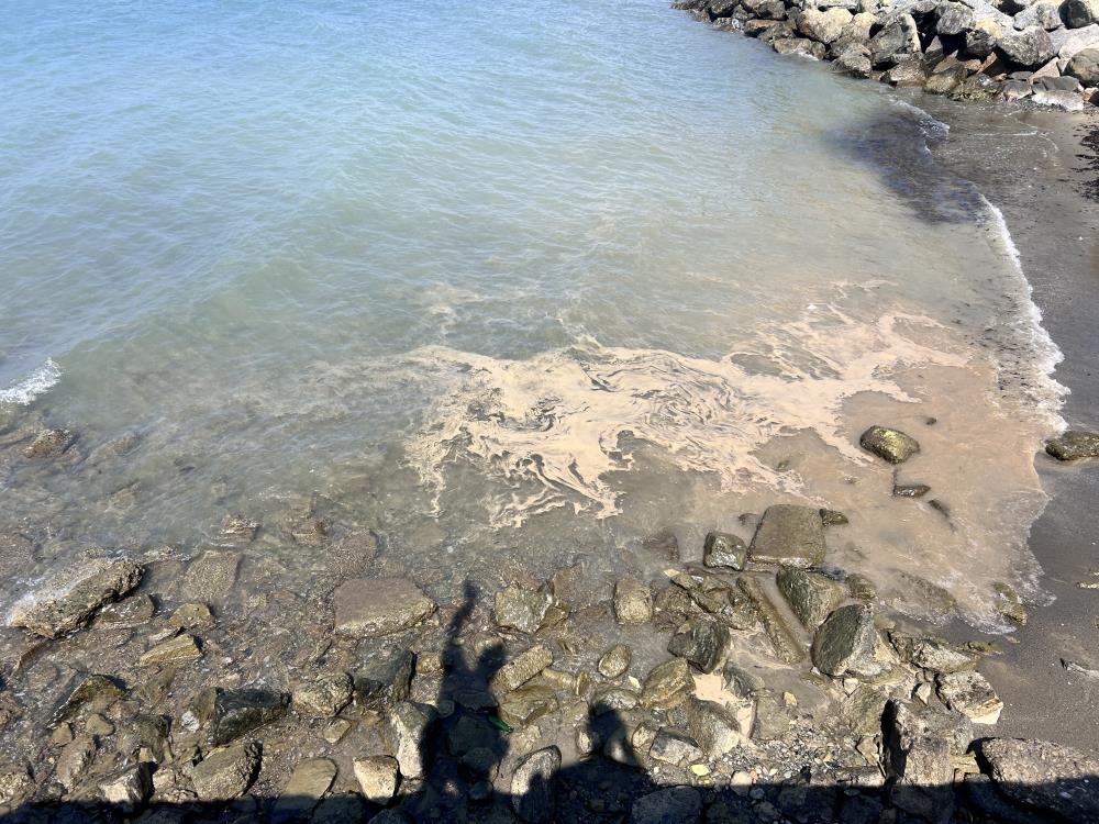 Akdeniz’de suyun yüzeyinde oluşan beyaz tabaka tedirgin etti