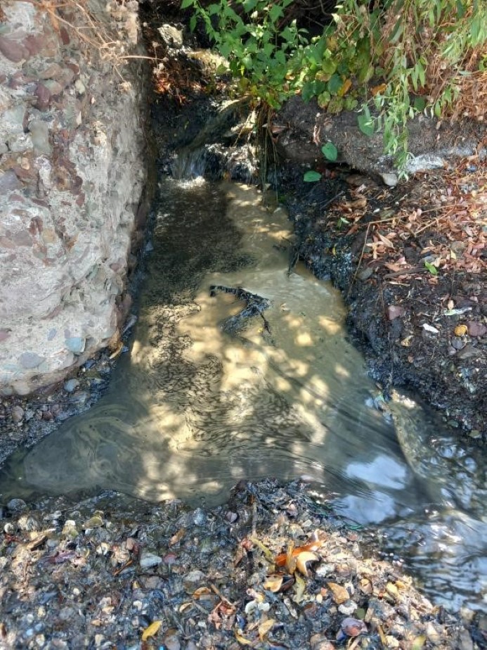 Yalova’da deniz kirliliğine sebep olan fabrikaya inceleme