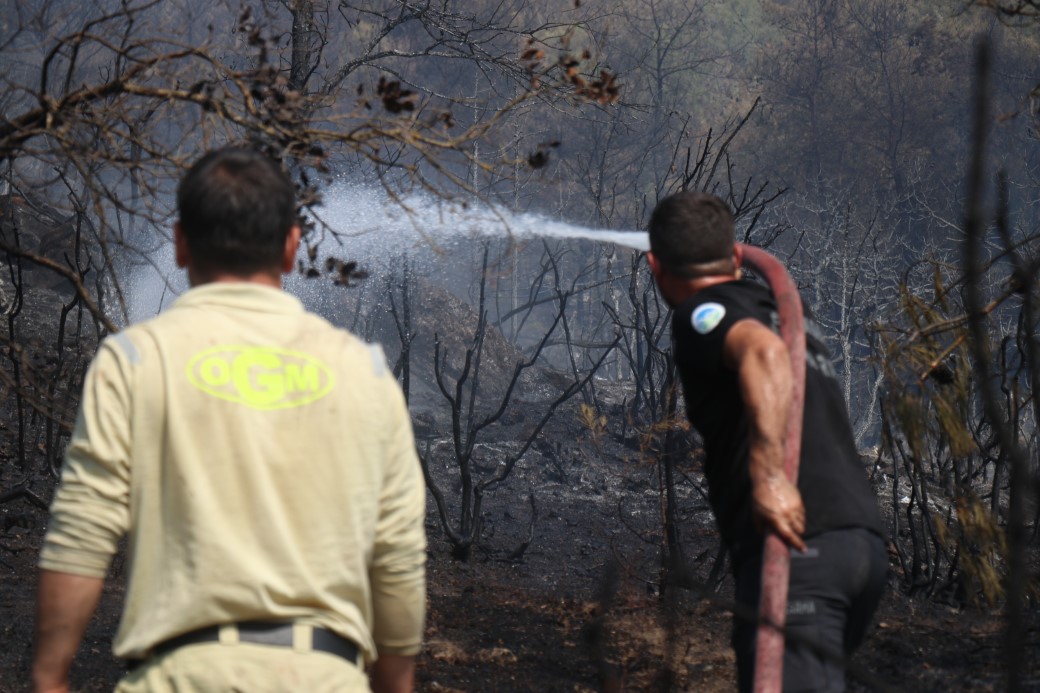 Sakarya-Bilecik sınırında alevler yeniden yükseldi: Hızlı müdahale yayılmayı önledi