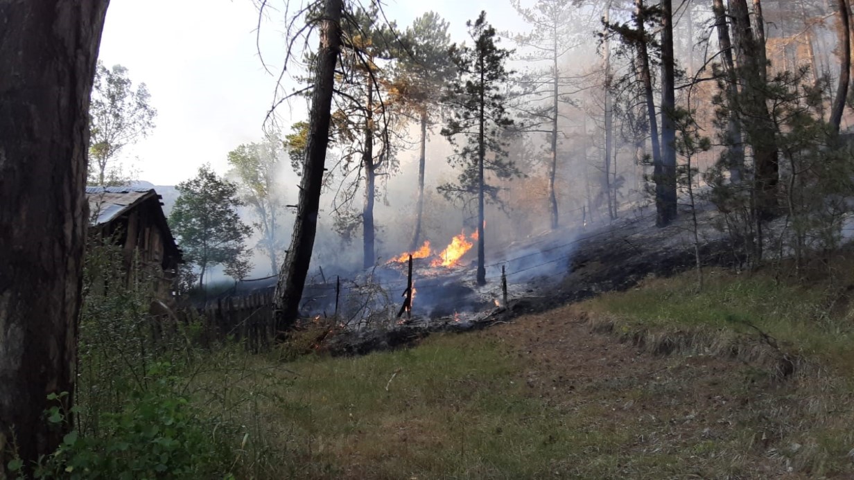 Bolu’da orman yangını: Müdahale sürüyor
