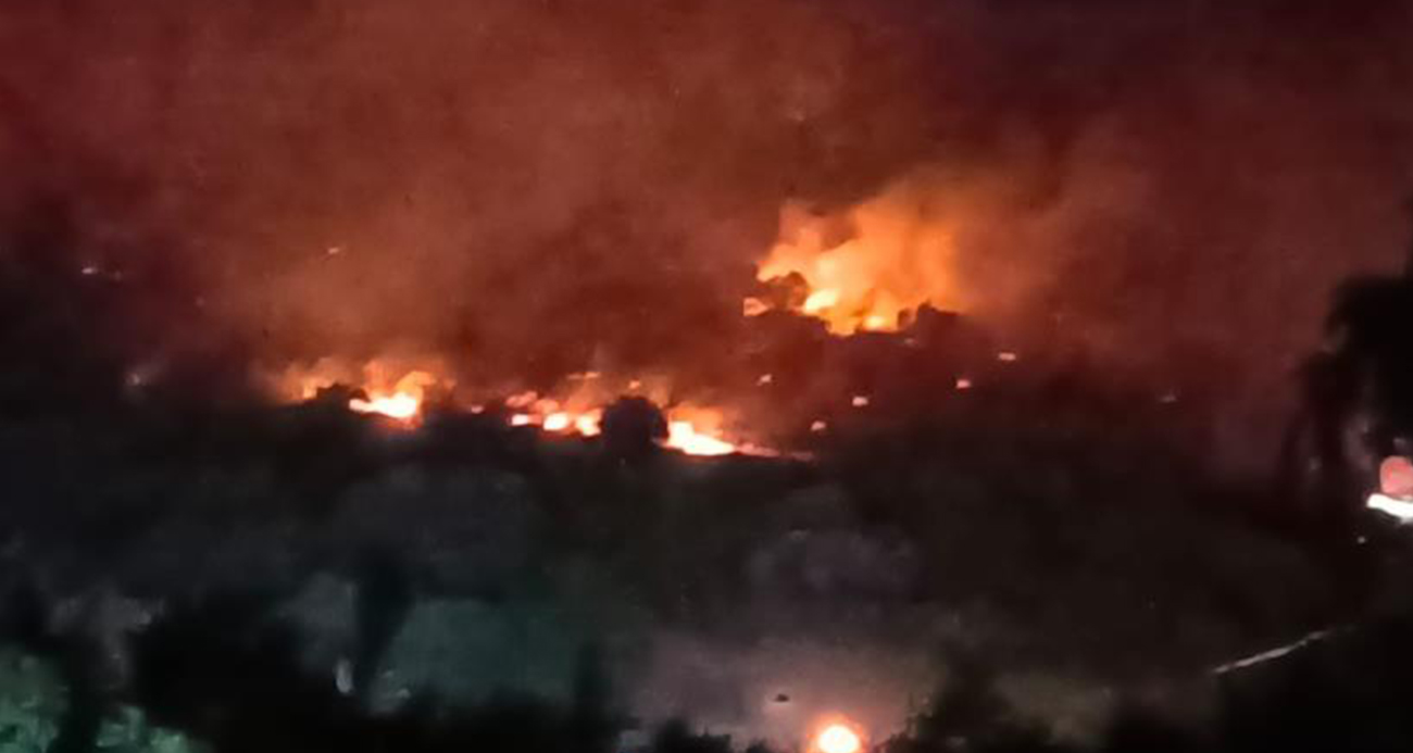 Dikili’de orman yangını: Çanakkale yolu ulaşıma kapatıldı
