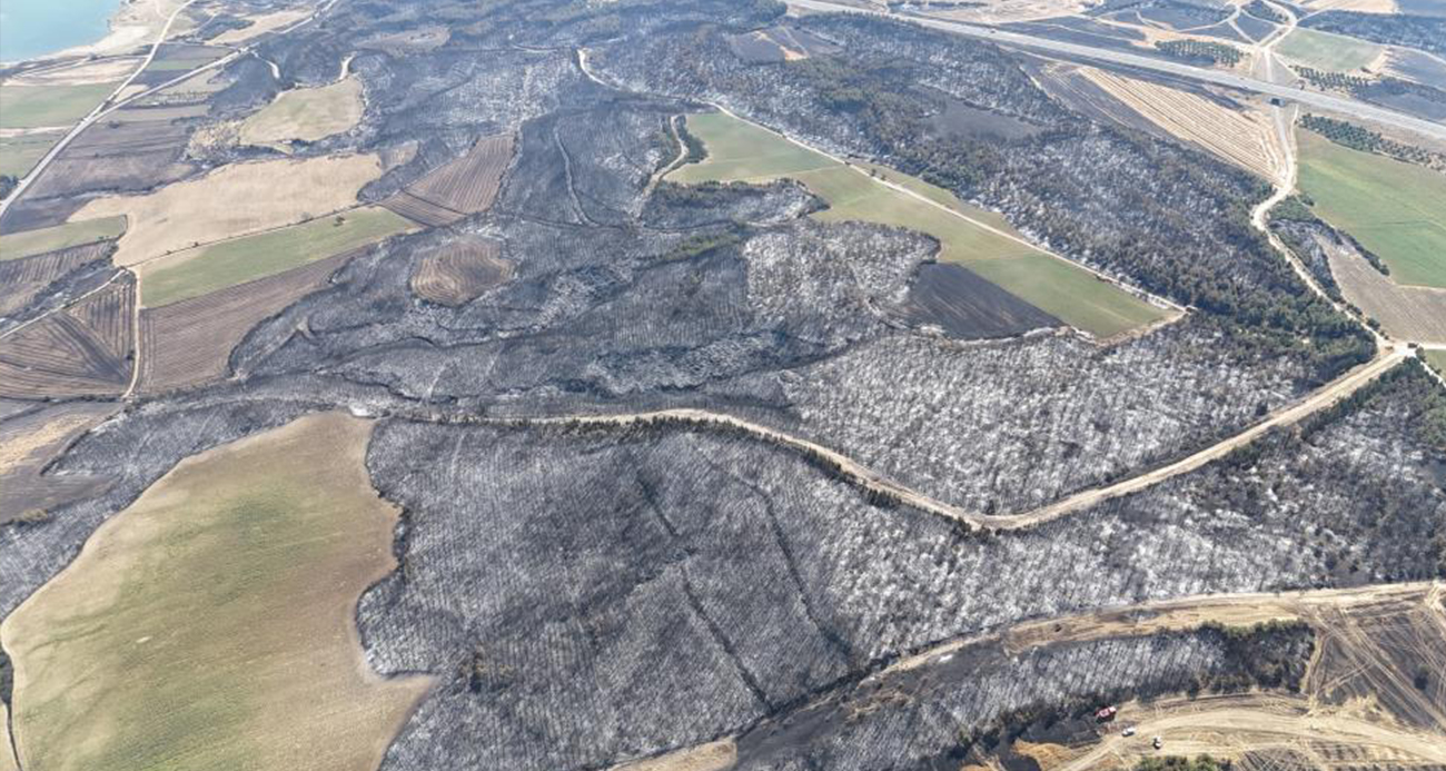 Tekirdağ’daki orman yangınında Çanakkale’de 119 futbol sahası büyüklüğünde alan yandı