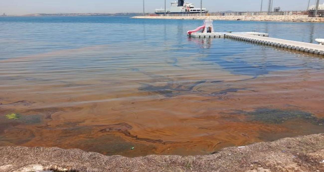 Yalova’da deniz kirliliğine sebep olan fabrikaya inceleme