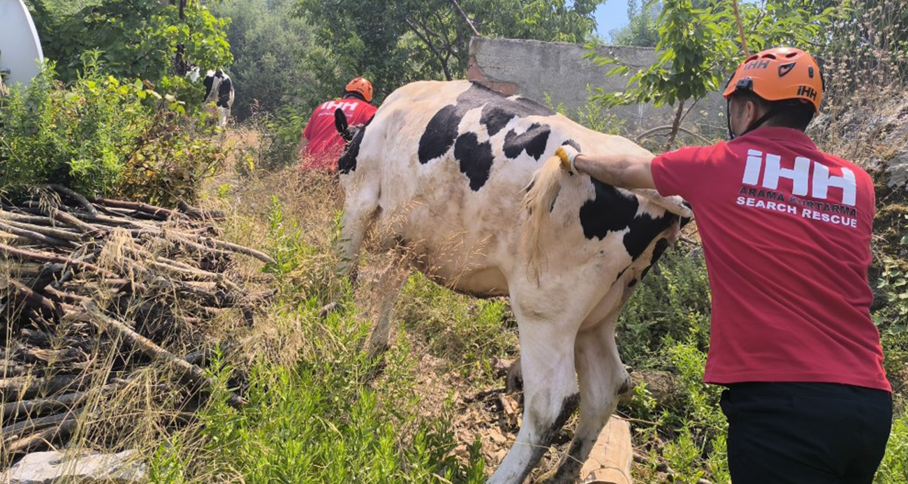 Antalya’da yerleşim yerlerini tehdit eden orman yangınında bazı evler tahliye edildi