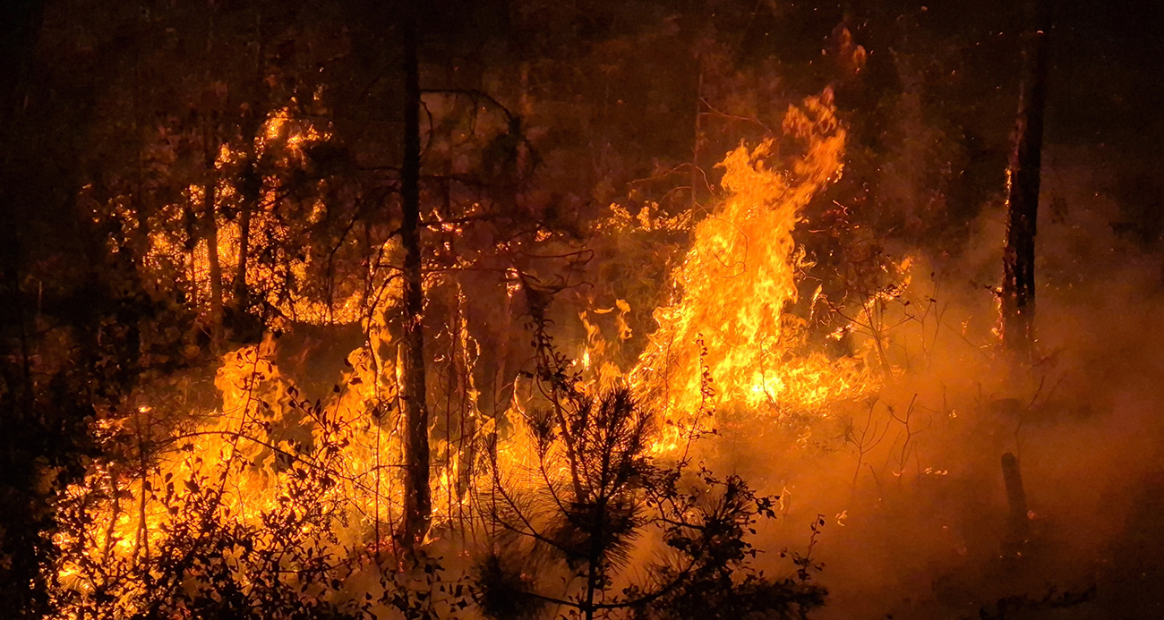 Alevler geçtiği yeri kararttı
