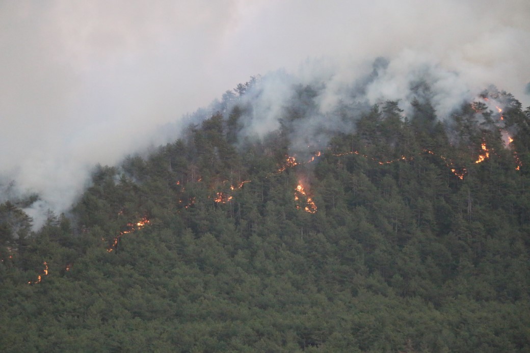 Söndürülen yangın yeniden alevlendi, 95 ev tahliye edildi