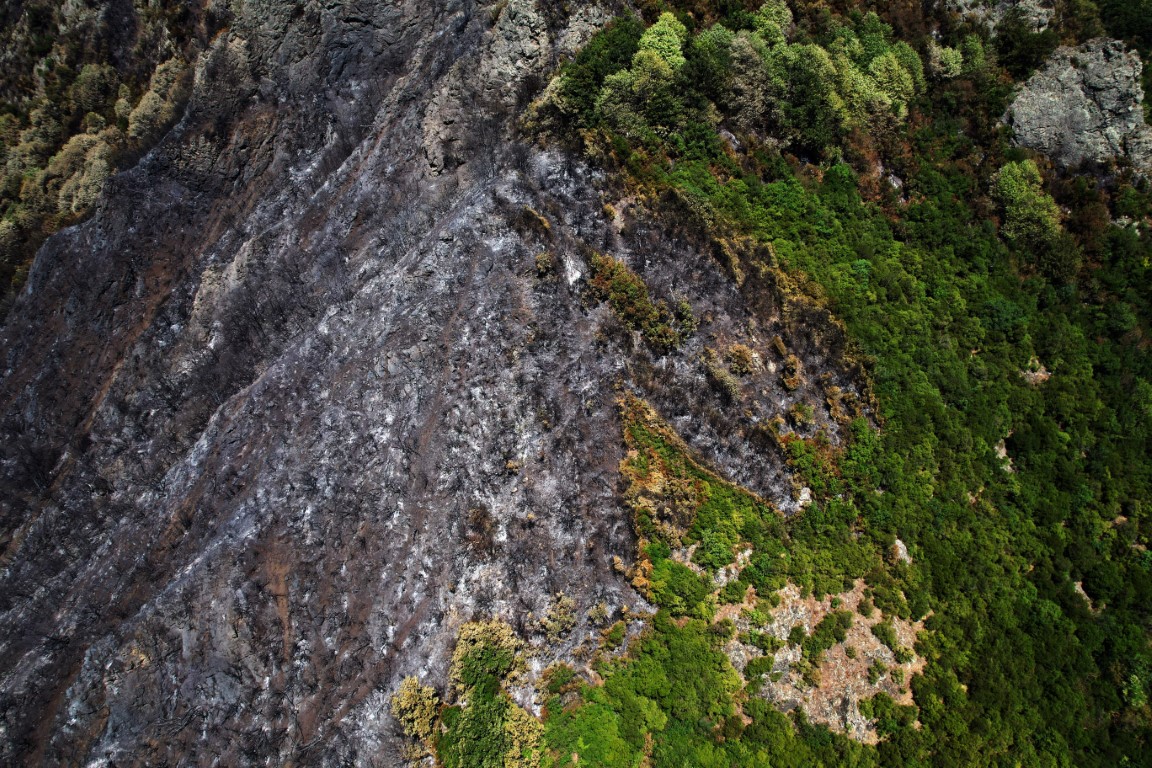 Yangın sonrası acı tablo: ’Yeşil’ ve ’siyah’ yan yana