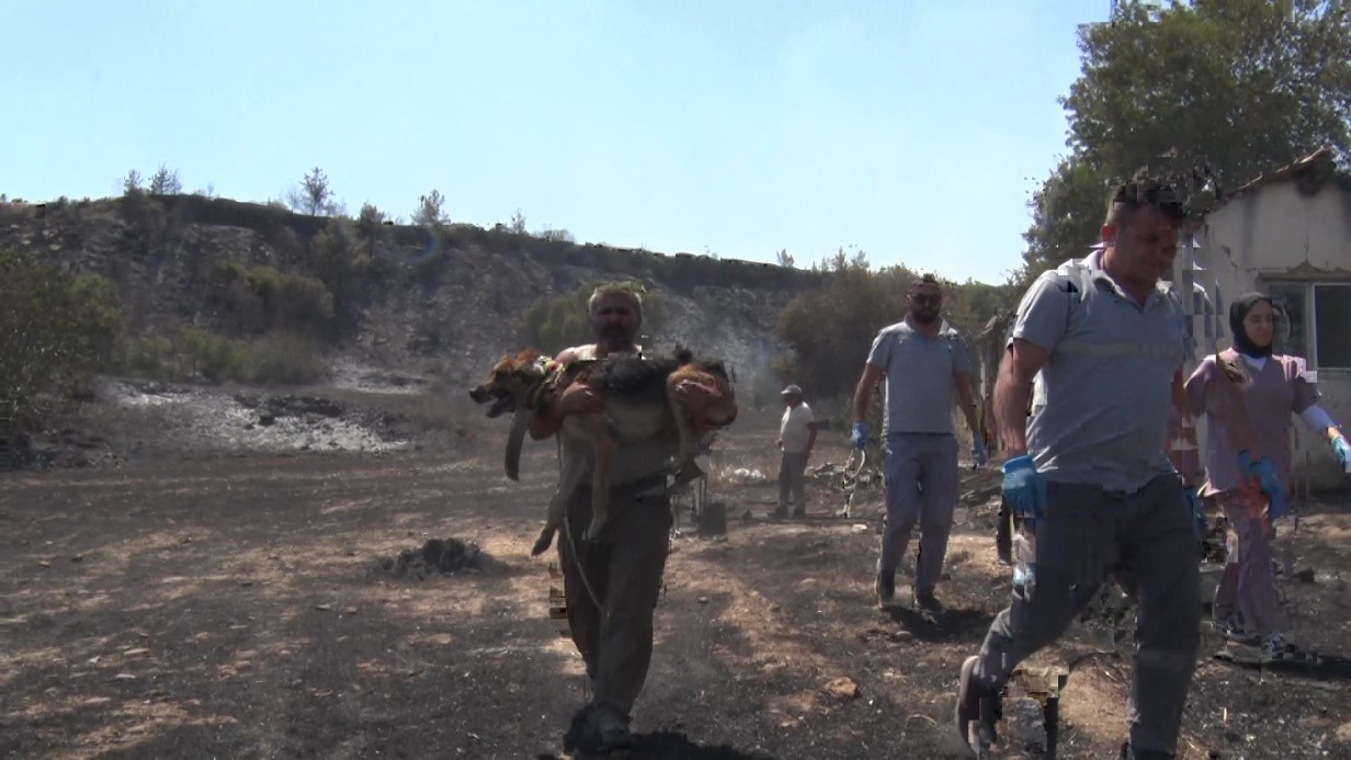 Aksu’da yürek yakan yangında evler hasar gördü, hayvanlar telef oldu