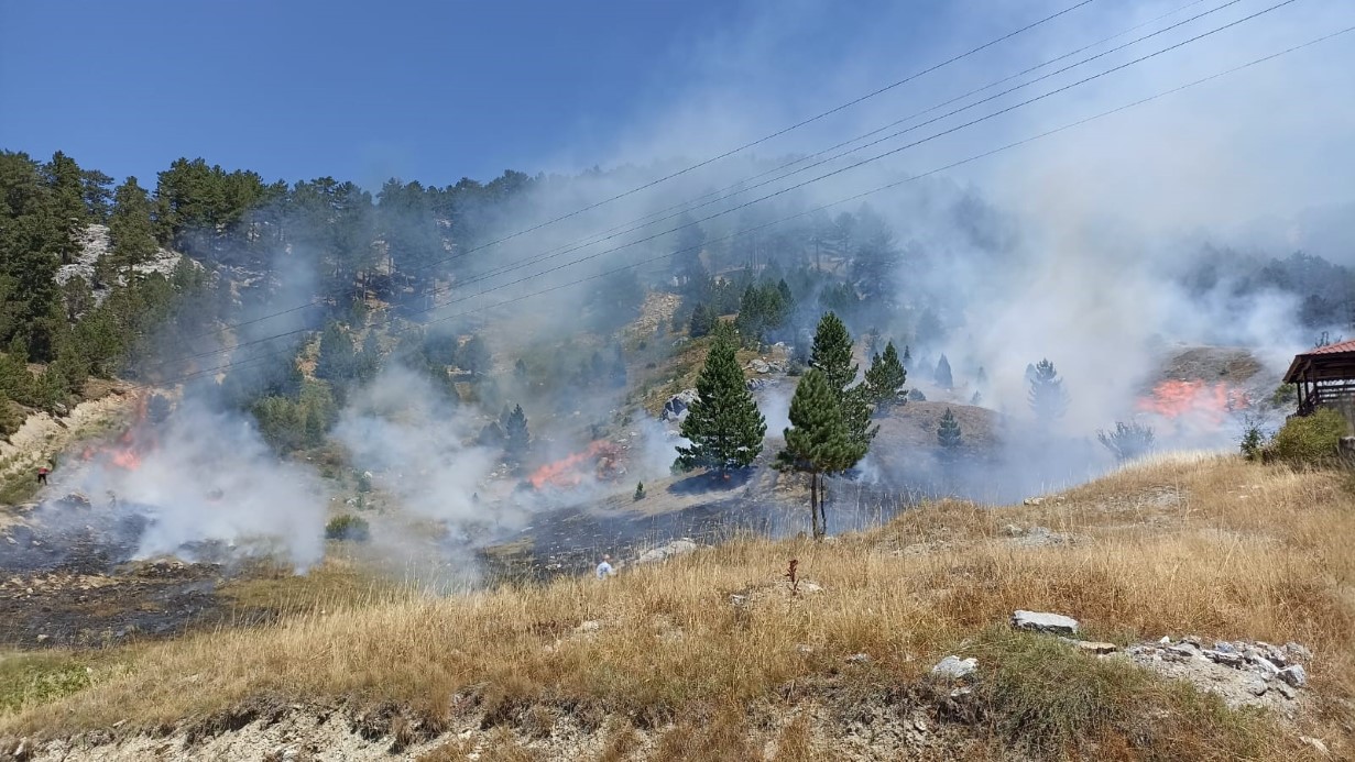 Aksu’da yürek yakan yangında evler hasar gördü, hayvanlar telef oldu