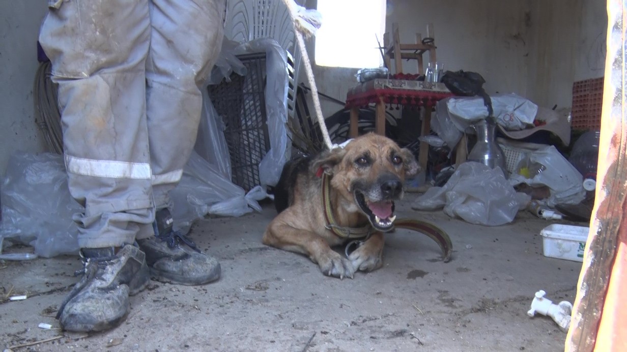 Aksu’da yürek yakan yangında evler hasar gördü, hayvanlar telef oldu