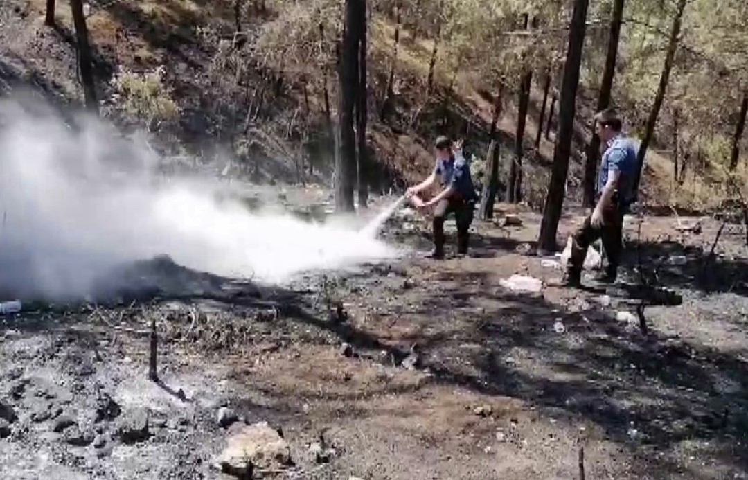 Geyve’de 5 gün sonra aynı nokta yeniden alevlendi: Yangına ilk müdahaleyi polisler yaptı