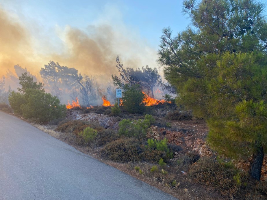 Cunda Adası’ndaki orman yangını büyümeden söndürüldü