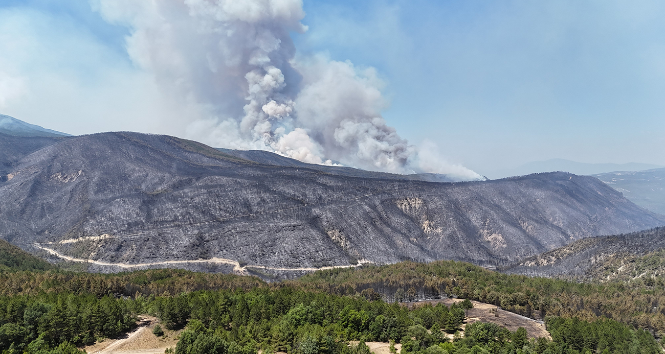 Rüzgar, orman yangınlarını yeniden alevlendirdi