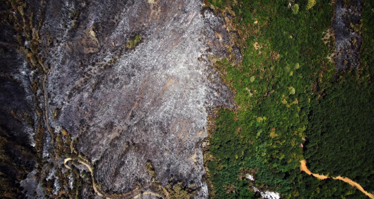 Yangın sonrası acı tablo: ’Yeşil’ ve ’siyah’ yan yana