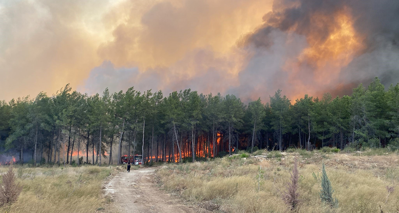 Antalya’da orman yangını
