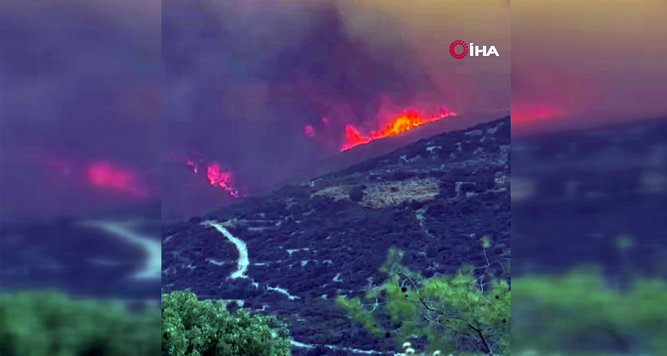 Güney Kıbrıs'taki orman yangınında ölü sayısı 2'ye yükseldi