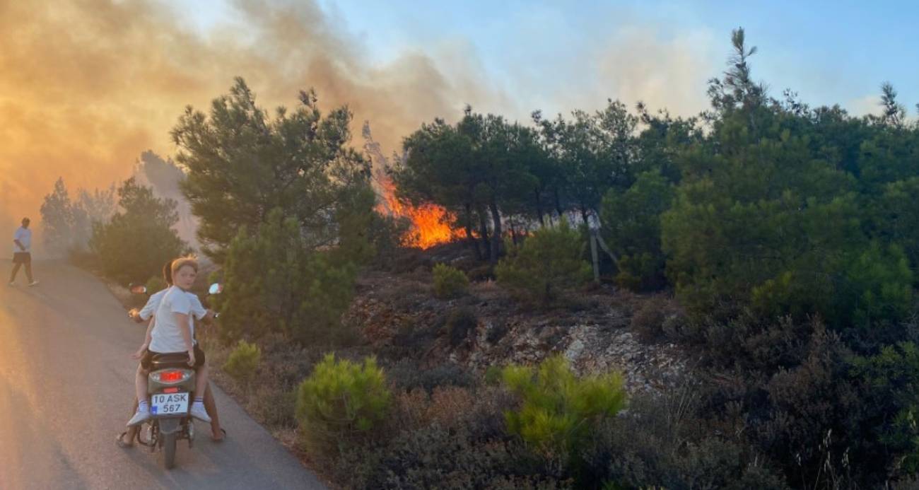 Cunda Adası’ndaki orman yangını büyümeden söndürüldü