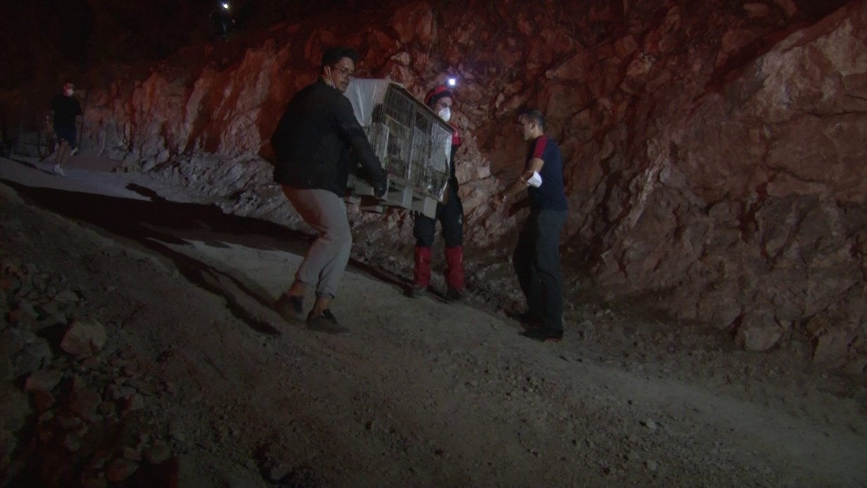 Bursa’daki yangından etkilenen hayvanlar böyle kurtarıldı