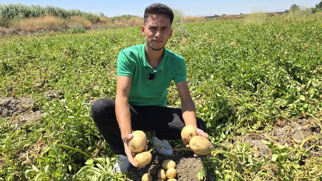 Amasya’da genç çiftçi, 8 ton patatesi halka ücretsiz dağıttı
