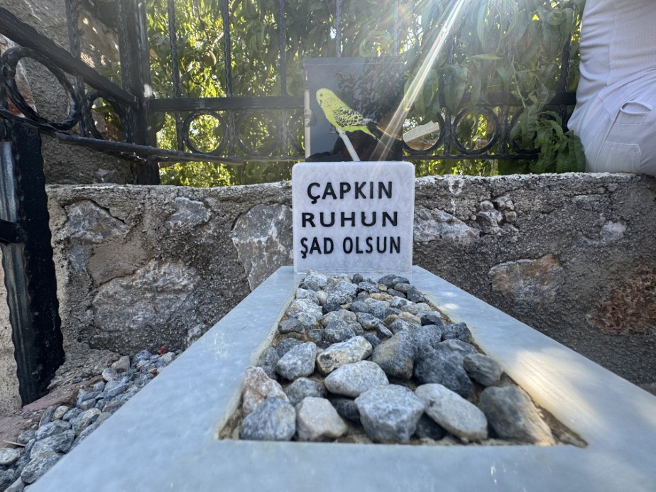 Ölen muhabbet kuşu için mermerden mezar yapıp gömdüler