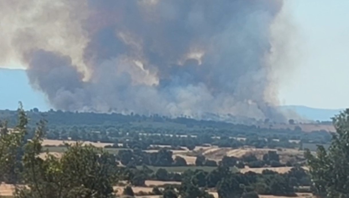 Bulgaristan’daki orman yangını Türkiye sınırına dayandı