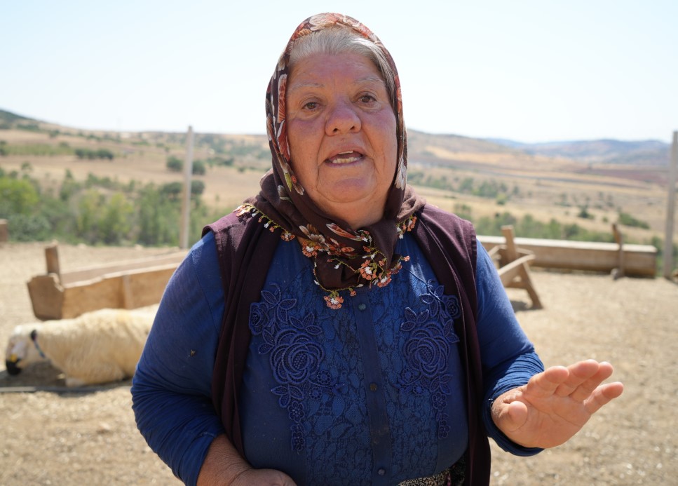 Kırıkkale’de iki ayrı besicinin 210 hayvanı telef oldu: 63 yaşındaki kadın gözyaşlarını tutamadı