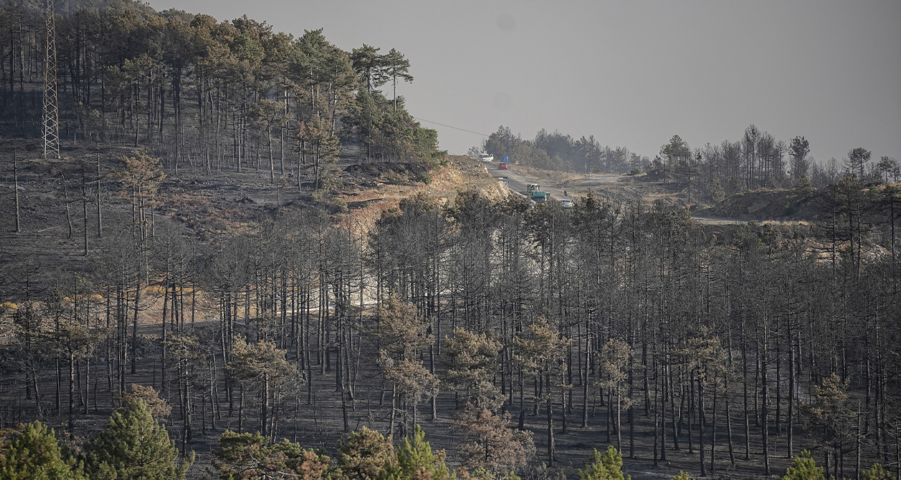 Bursa'nın dağ ilçeleri griye büründü