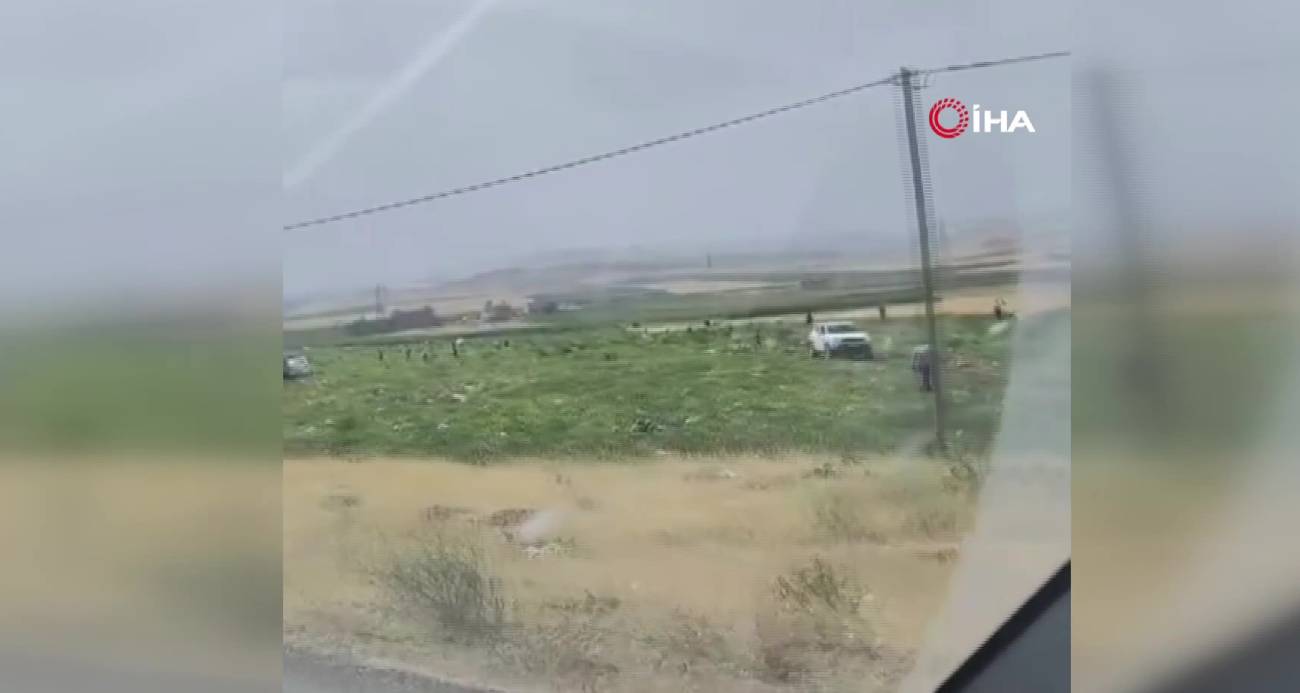 Mardin’de karpuz tarlası sahibi karşılaştığı görüntü karşısında şoke oldu