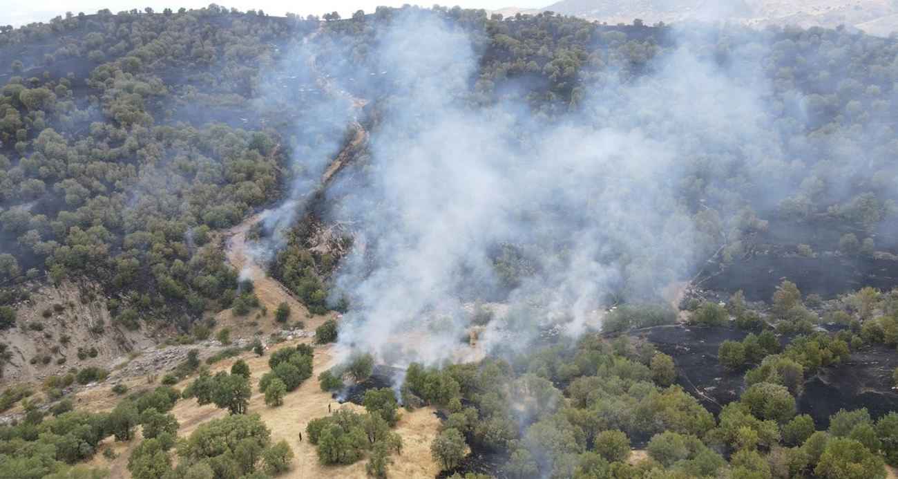 Gerger’deki orman yangını söndürüldü