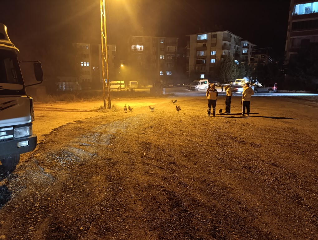 Beypazarı’nda kümes yangını: 41 tavuk telef oldu