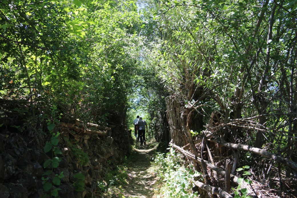 Bozkırın ortasında vahayı andırıyor, yeşilliği ile dikkat çekiyor