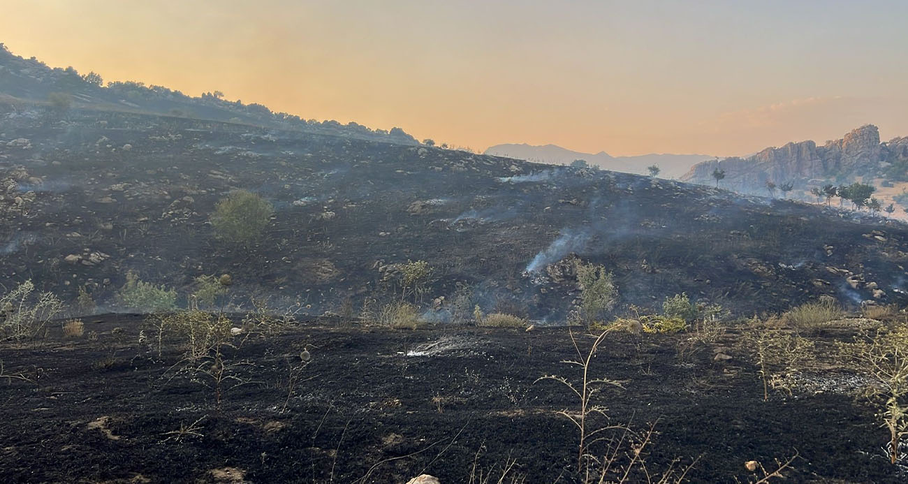 Diyarbakır’da merada başlayan yangın ormanlık alana yayıldı
