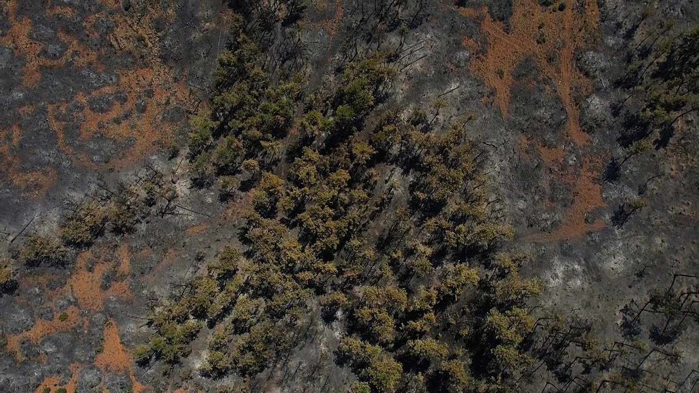Bursa’da acı tablo: Harmancık’ta yanan yerler havadan görüntülendi