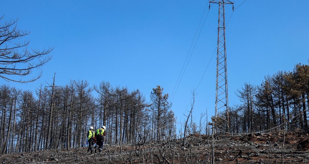 Yangın bölgesinde enerji hatlarının onarımı başladı