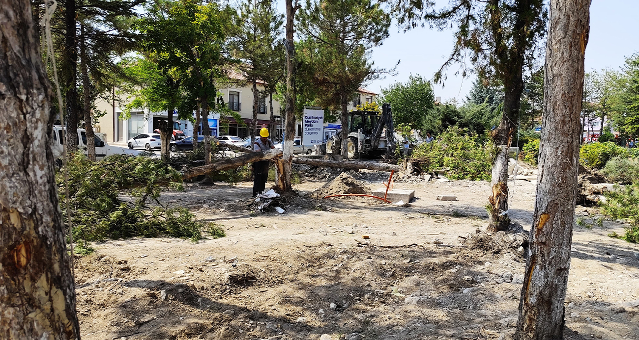 'Güzelim ağaçlardan ne istediniz?'