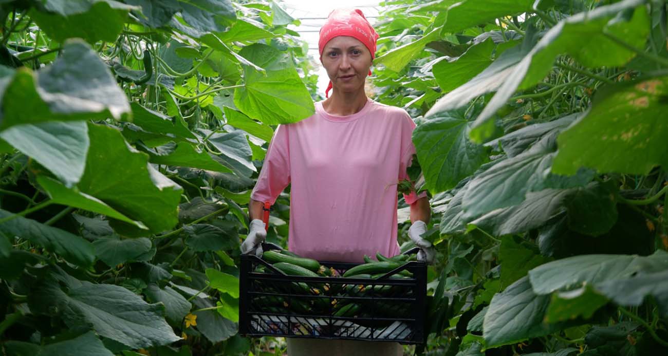 Devlet desteğiyle kurduğu serada taleplere yetişemiyor