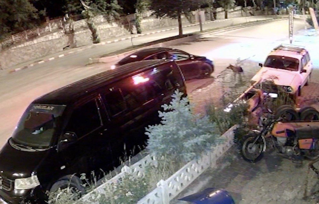 Köpeği önce aracıyla ezmeye çalıştı ardından tüfekle vurarak felç bıraktı