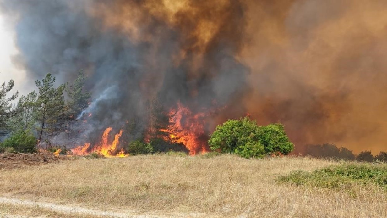 Başkan Özel, yangından etkilenen kaplumbağaya suyla müdahale etti